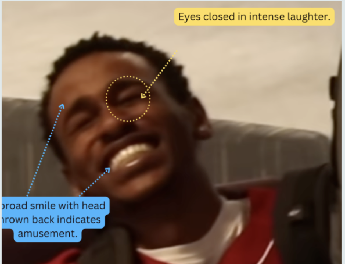 Reactions to Humor